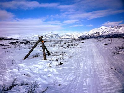 Iditarod Trail beyon Puntilla
