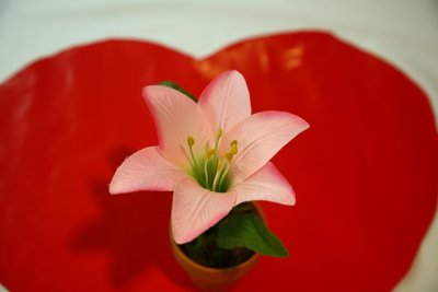 OLG_ValentinesParty_12Feb2011_ 022 [640x480].JPG