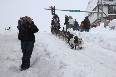 Iditarod40_CerermonialStart_03Mar2012_ 038_GerryWillomitzer (Copy).JPG