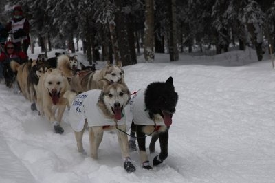 Iditarod40_CerermonialStart_03Mar2012_ 049 (Copy).JPG