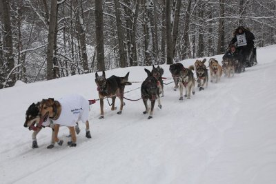 Iditarod40_CerermonialStart_03Mar2012_ 053_DallasSeavey (Copy).JPG