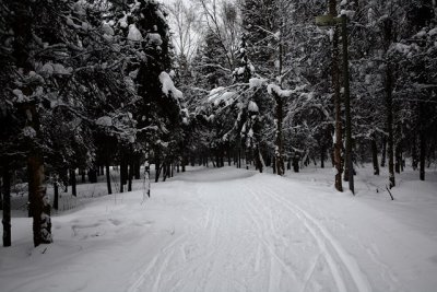 Anchorage Winter Scenes