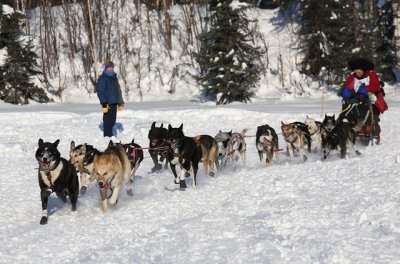 Iditarod40_WillowStart_04Mar2012_ 057_SilviaFurtwangler (Copy).JPG