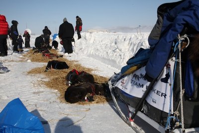 Iditarod_40_Unalakleet_CheckPoint_11Mar2012_ 014 [800x533].JPG