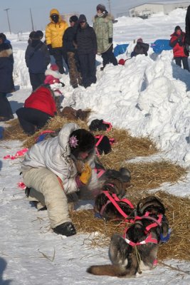 Iditarod_40_Unalakleet_CheckPoint_11Mar2012_ 018_DeeDee [401x600].JPG