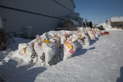 Iditarod_40_Unalakleet_CheckPoint_11Mar2012_ 035 [800x533].JPG