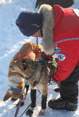 Iditarod_40_Shaktoolik_CheckPoint_11Mar2012_ 011 [403x600].JPG