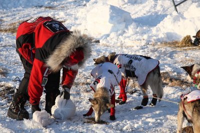 Iditarod_40_Shaktoolik_CheckPoint_11Mar2012_ 041 [800x533].JPG