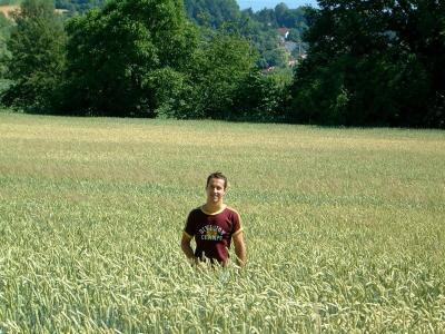 2003: June, Bodensee, Germany