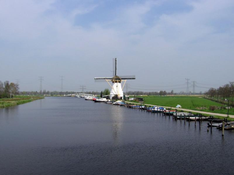 IMG1810.jpg