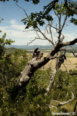 Table Rock Mountain