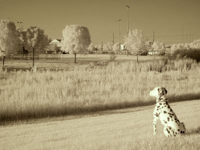 g4/47/327347/3/63619663.gv9pjeFr.jpg