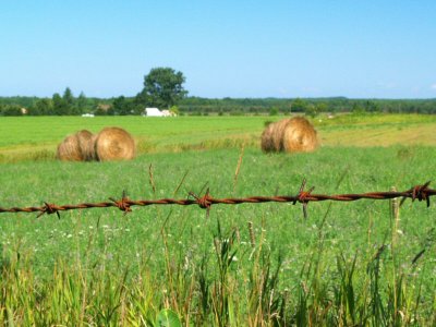 Michigan's Countryside