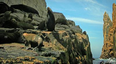 landsend 3 pc.jpg