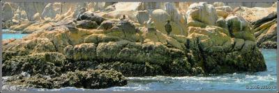landsend 7 pc.jpg