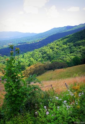 Germany Valley WV1 pc.jpg