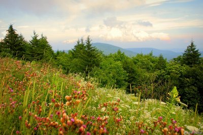 Scenic Hiway WV2 pc.jpg