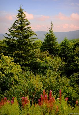 Scenic Hiway WV3 pc.jpg