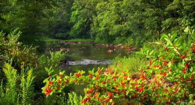 Scenic Hiway WV5 pc.jpg