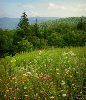 West Virginia Highlands