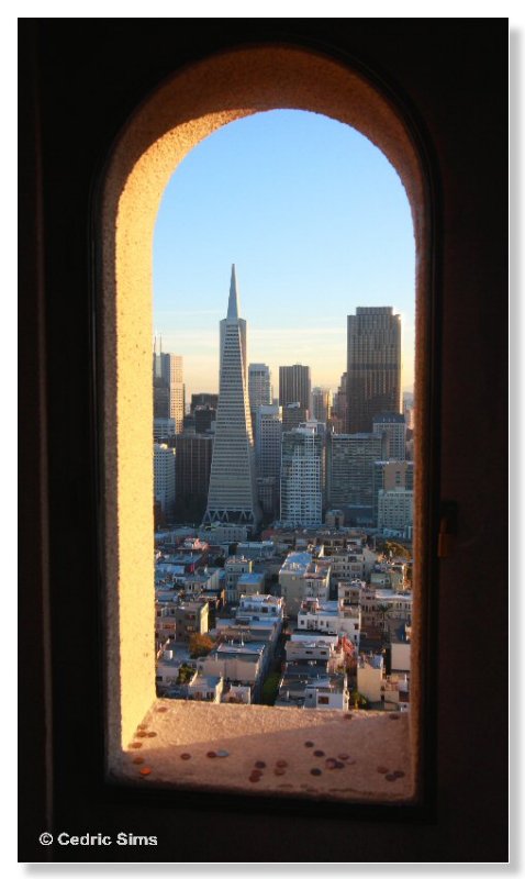View from inside of Coit Tower