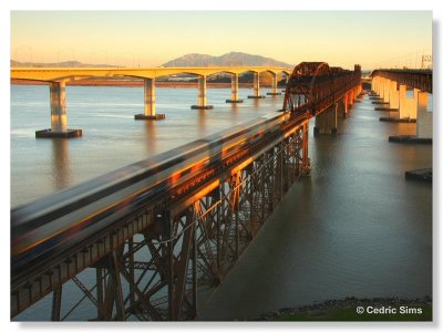 Capitol Corridor Train