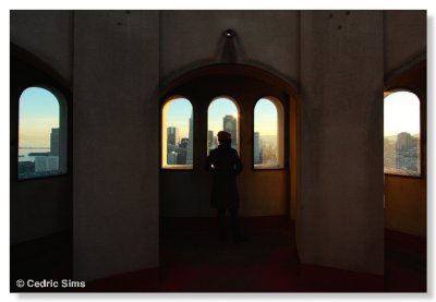 View from inside Coit Tower