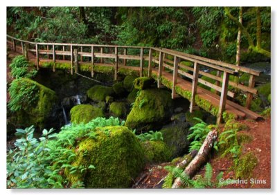  Cataract Creek