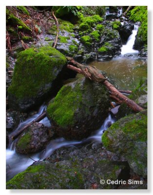 Cataract Creek