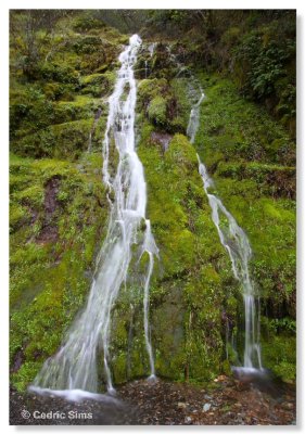 Falls along Yankee Jims Road