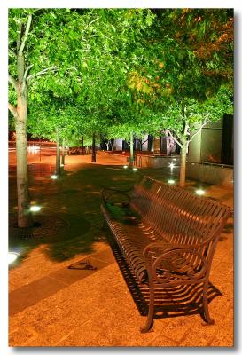 Congress street night bench shot