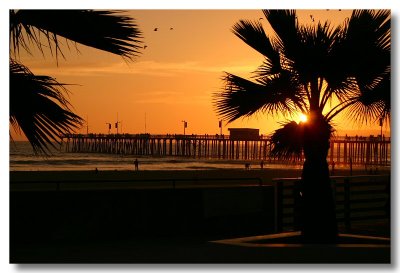  Pismo Beach Sunsets