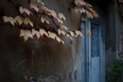MMDGT-Y2010-01340.JPG