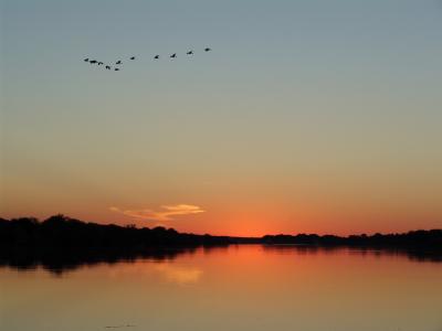 Zambezi Sunset 3.jpg