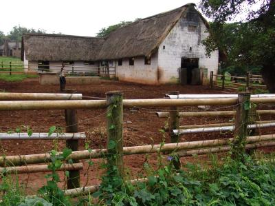 Mabuda Farm 06.jpg