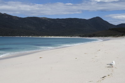 Wineglass Bay, Tasmania