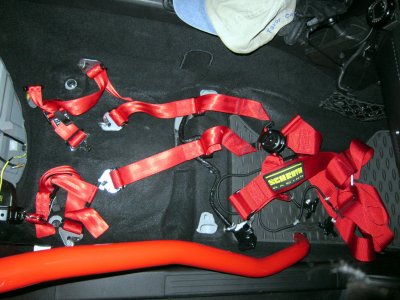 Harness.JPG