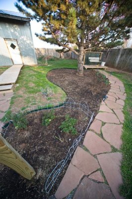 Added perennial bed