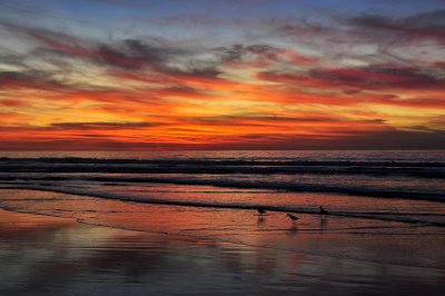 LaJolla Shores sunset