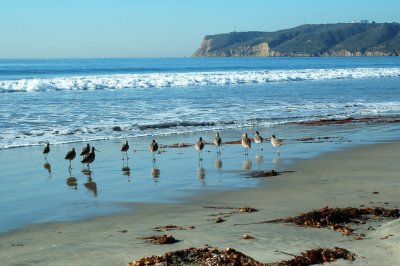 Coronado beach and Pt Loma