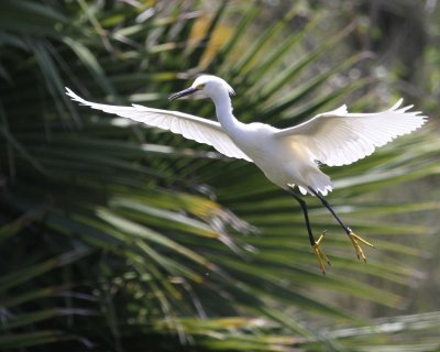 IMG_8502.JPG