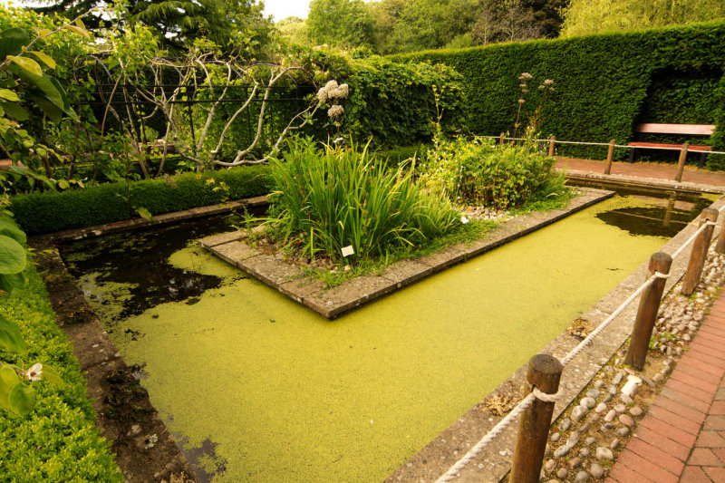 Poison Section Physic Garden