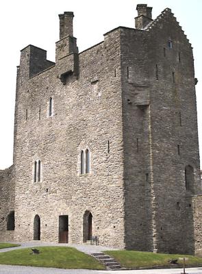 Norman Castle Roscrea