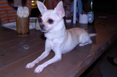 2005-10-01_11_204.jpg