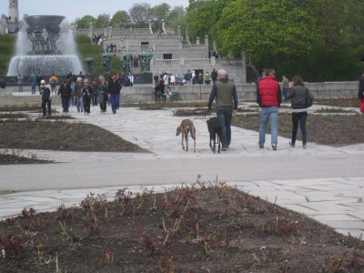 Greyhounds at Vigeland.
