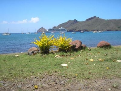 Foliage, bay and ship