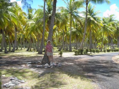 Patti at coconut farm