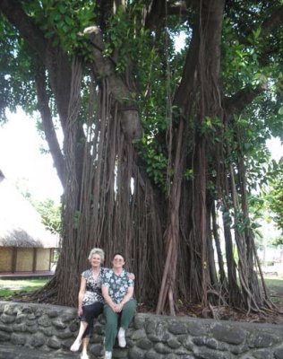 The Pattis at a banyan tree
