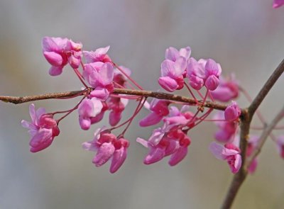 IMG_0390wnr.jpg