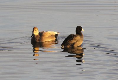 IMG_9665wnr.jpg